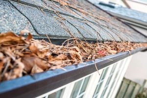 4 Signs That Your Home Needs Gutter Cleaning