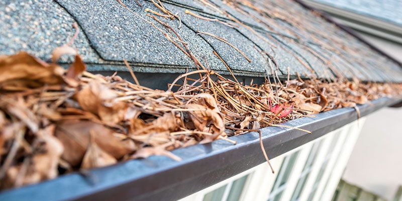 4 Signs That Your Home Needs Gutter Cleaning