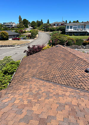 Roof Cleaning in Tacoma, Washington